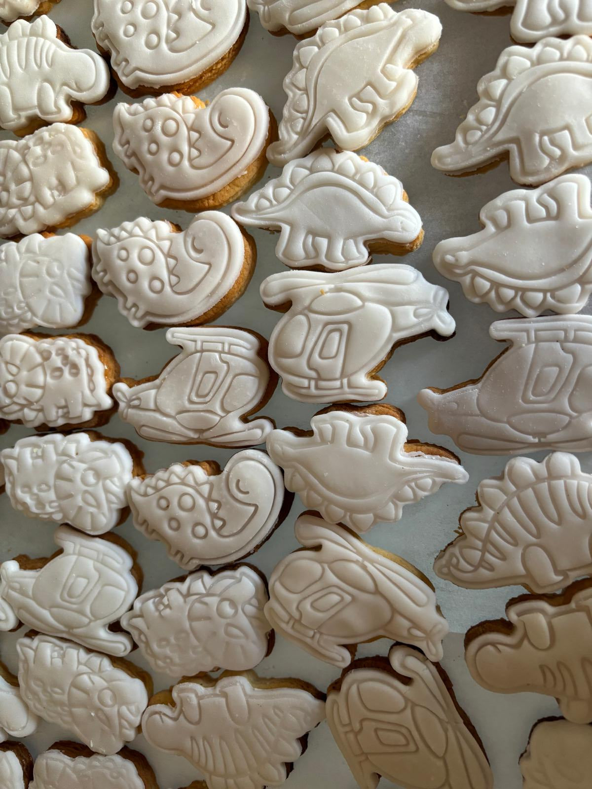 Kit biscotti da dipingere